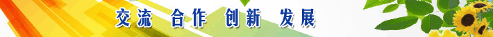 球王会平台